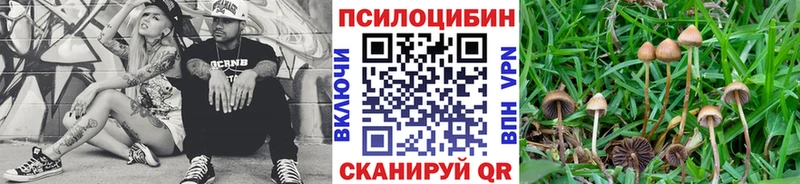 ссылка на мегу зеркало  Ленинск-Кузнецкий  Псилоцибиновые грибы мицелий 